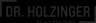 Dr. Holzinger GmbH Logo
